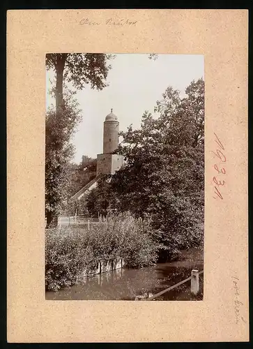 Fotografie Brück & Sohn Meissen, Ansicht Bautzen, Blick auf das Neutor Wasserkunst im Park
