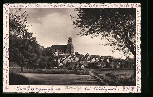 AK Herrenberg, Ortsansicht mit Kirche