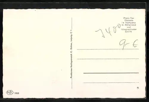 AK Altenburg, Inneres Gasthaus Bauernstube, Schlossturm, Kleiner Teich