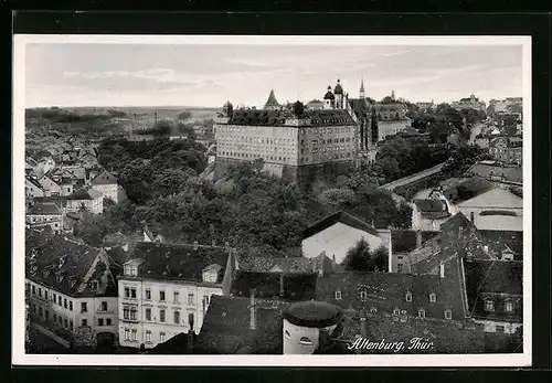 AK Altenburg /Thür., Teilansicht mit Schloss
