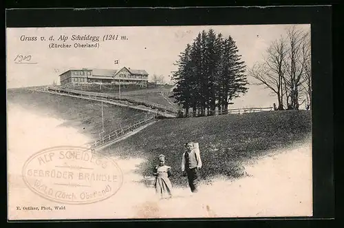 AK Wald /Zürcher Oberland, Gasthaus Alp Scheidegg