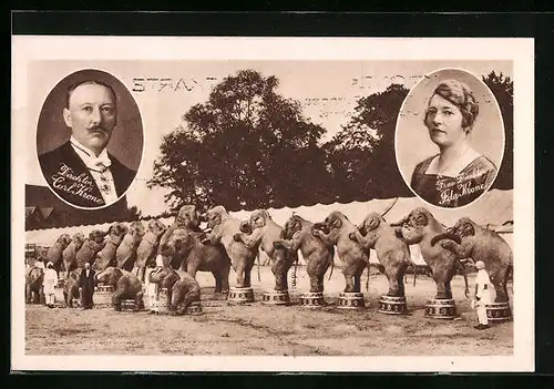 AK Elefanten-Dressur im Zirkus Krone, Direktor Karl Krone