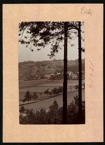 Fotografie Brück & Sohn Meissen, Ansicht Diesbar a. Elbe, Blick aus dem Forst auf die Stadt