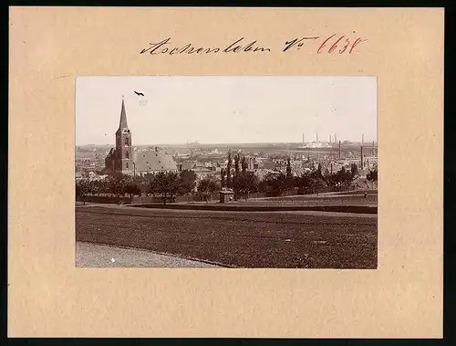 Fotografie Brück & Sohn Meissen, Ansicht Aschersleben, Panorama der Stadt vom Stephanspark aus gesehen