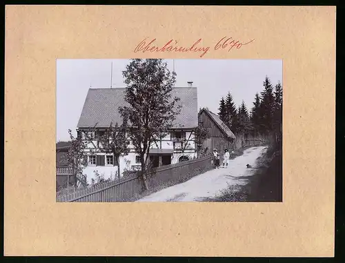 Fotografie Brück & Sohn Meissen, Ansicht Oberbärenburg, Partei am Haus Hagen im Wald