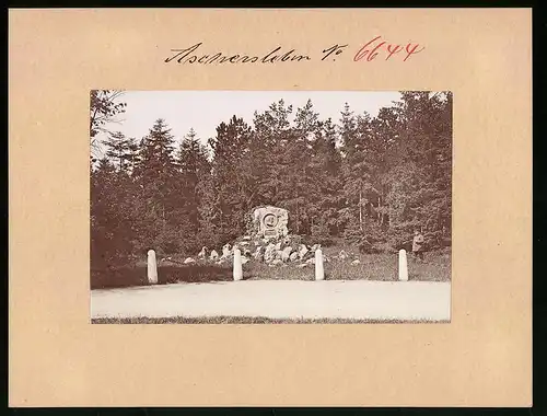 Fotografie Brück & Sohn Meissen, Ansicht Aschersleben, Blick auf den Bismarckstein, Denkmal