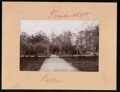 Fotografie Brück & Sohn Meissen, Ansicht Dresden, Eingang zum Park am Garnisionslazarett