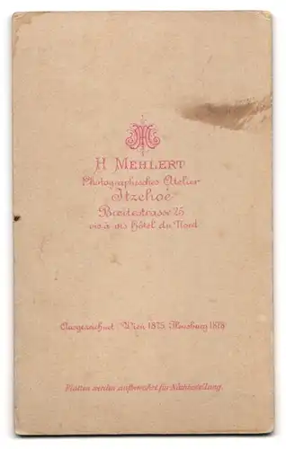 Fotografie H. Mehlert, Itzehoe, Breitestr. 25, Junger Mann in modischer Kleidung