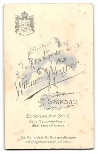 Fotografie William Wegner, Berlin-Spandau, Schönwalderstr. 2, Junger Herr im Anzug mit Fliege