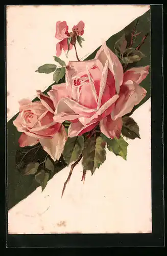 Präge-AK Blühende rosa Rosen