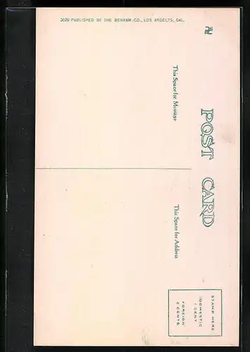 AK Spanish Bayonet in Bloom