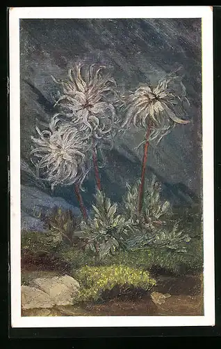 Künstler-AK Tatra, Teufelsbart vor Felswand