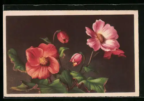Künstler-AK Rote Begonie (Begonia tuberosa)