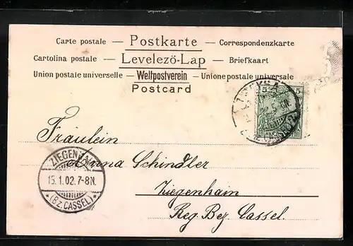Präge-AK Farn verschiedener Arten