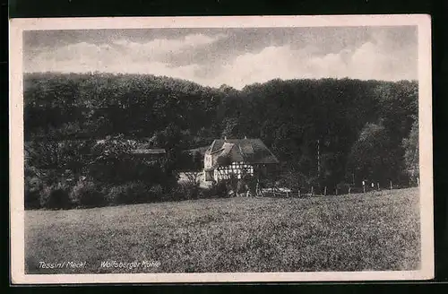 AK Tessin /Mecklenburg, Wolfsberger Mühle mit Wald