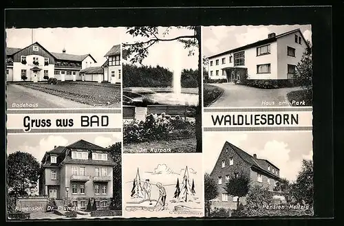 AK Bad Waldliesborn, Kurpark, Badehaus, Haus am Park