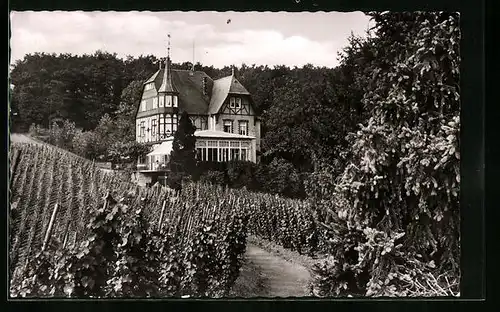 AK Alf-Bullay, Berghotel Haus Waldfrieden mit Weinreben