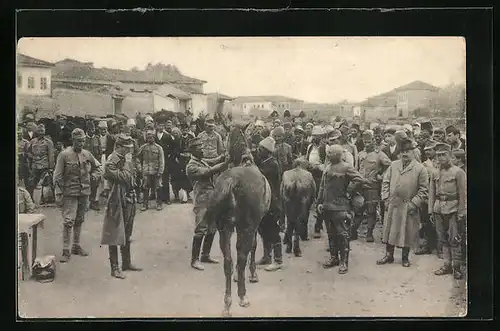 AK Skutari, Pferdeankauf in Albanien