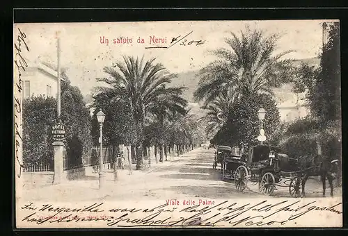 AK Nervi, Viale delle Palme