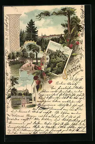 Lithographie Schöneck, Gasthaus Tannenhaus, Friedrich-August-Stein