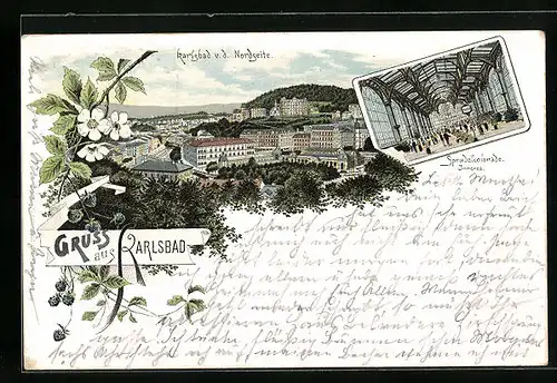 Lithographie Karlsbad, Ortsansicht von der Nordseite, Inneres der Sprudelcolonade