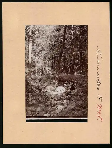 Fotografie Brück & Sohn Meissen, Ansicht Niederwartha, Bachlauf im Tännichtgrund