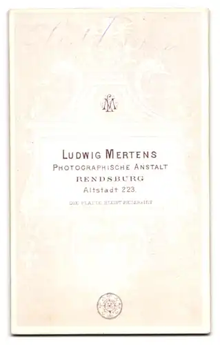 Fotografie Ludwig Mertens, Rendsburg, Altstadt 223, Junger Herr im Anzug mit Fliege