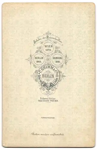 Fotografie C. Grimm & Co., Berlin-NW, Unter den Linden 51, Elegant gekleideter Herr mit Schnauzbart