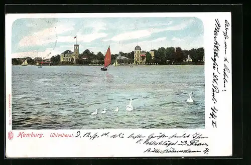 AK Hamburg-Uhlenhorst, Uferpartie mit Schwänen und Segelboot