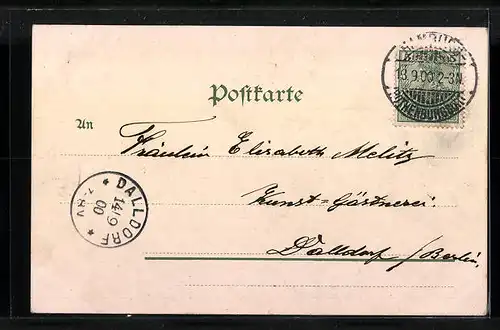 AK Hamburg-Uhlenhorst, Uferpartie mit Schwänen und Segelboot