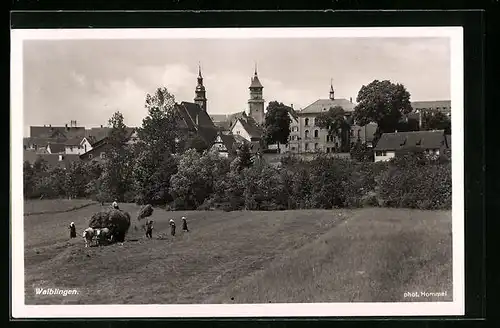 AK Waiblingen, Ortsansicht mit Feldern und Heutransport