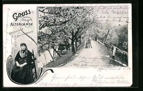 AK Altenlande, Ortsansicht mit Dame in Altländer Tracht und Kirschbäumen