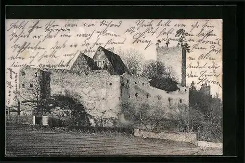 AK Pappenheim, Ansicht vom Schloss