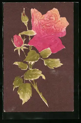 Präge-AK Rose in voller Blüte mit Knospen