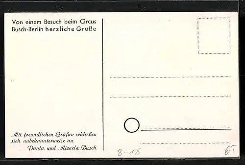 AK Berlin, Circus Busch, Tigerjunges mit Rauhaardackel