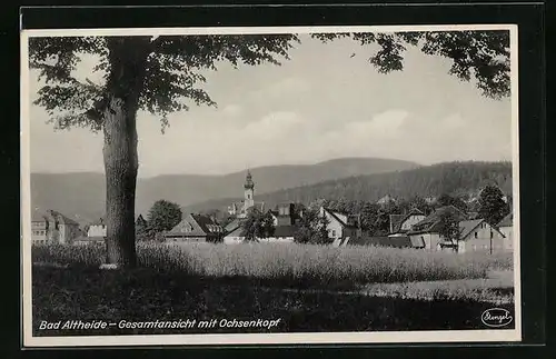 AK Bad Altheide, Gesamtansicht mit Ochsenkopf