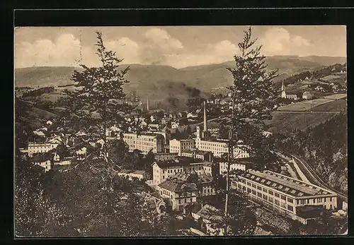 AK Tannwald, Ortsansicht aus der Vogelschau