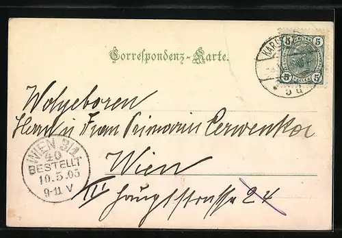 Künstler-AK Karlsbad, Stadtpark mit Terrasse