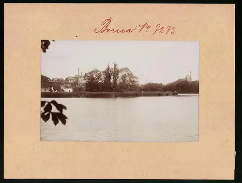 Fotografie Brück & Sohn Meissen, Ansicht Borna bei Leipzig, Blick über den Breiten Teich auf die Stadt