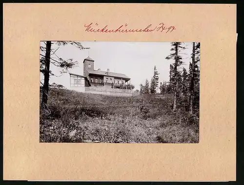 Fotografie Brück & Sohn Meissen, Ansicht Mückenberg i. Böhmen, Blick aus dem Wald auf den Mückentürmchen