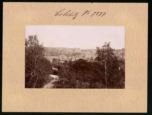 Fotografie Brück & Sohn Meissen, Ansicht Colditz, Blick vom Wald auf die Stadt