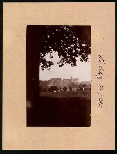 Fotografie Brück & Sohn Meissen, Ansicht Colditz, Blick zur Stadt mit dem Schloss