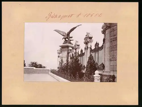 Fotografie Brück & Sohn Meissen, Ansicht Budapest, Burggarten mit Turul