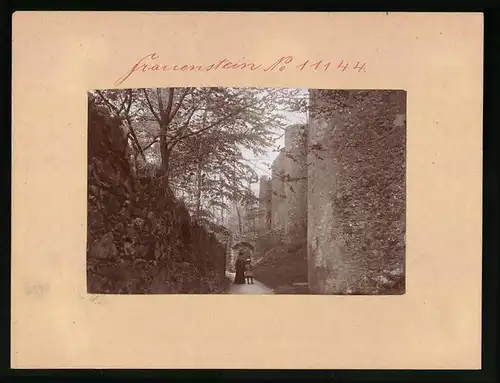 Fotografie Brück & Sohn Meissen, Ansicht Frauenstein, Weg neben der Schlossmauer
