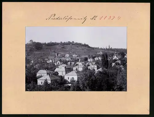 Fotografie Brück & Sohn Meissen, Ansicht Niederlössnitz, Villenviertel mit Blick zum Hang