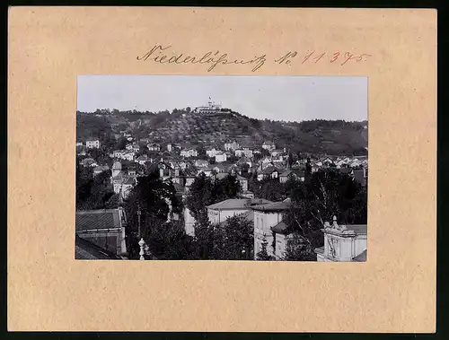 Fotografie Brück & Sohn Meissen, Ansicht Niederlössnitz, Villenviertel mit Friedensburg im Hintergrund