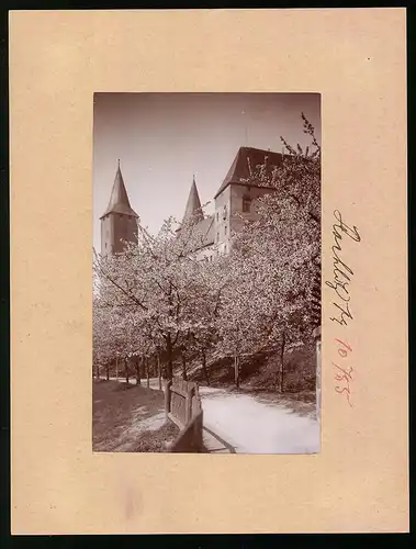 Fotografie Brück & Sohn Meissen, Ansicht Rochlitz i. Sa., Baumpfad am Schloss Rochlitz in voller Blüte