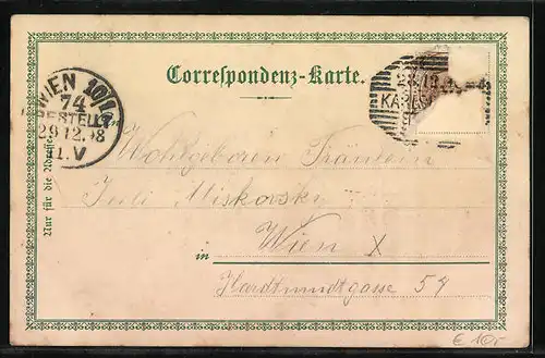 Lithographie Karlsbad, Alte und Neue Wiese, Marktbrunnen, Franz Josephs-Höhe