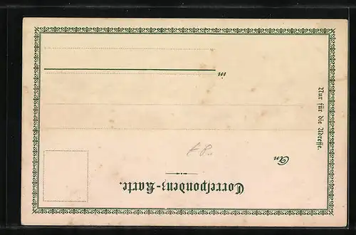 Lithographie Karlsbad, Ortsansicht aus der Vogelschau