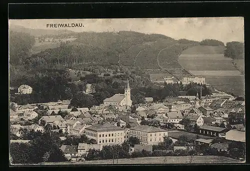 AK Freiwildau, Totalansicht mit Kirche